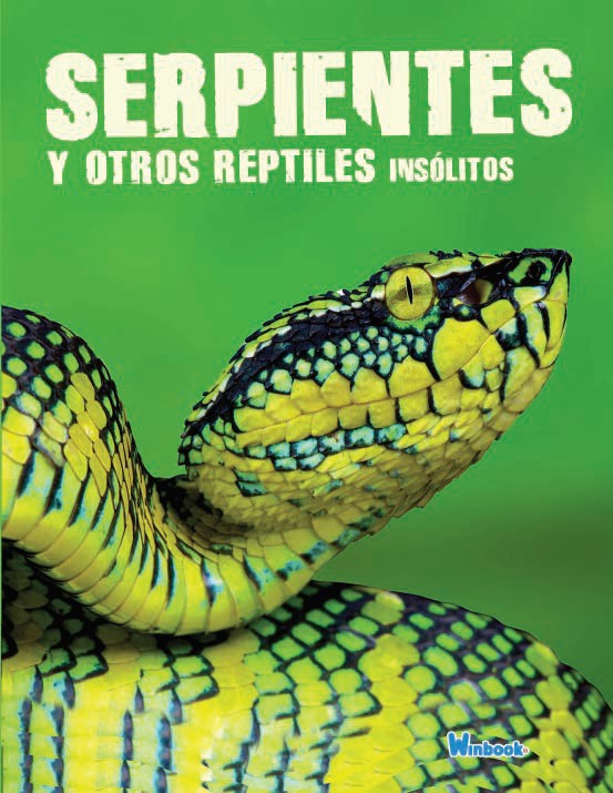 Serpientes y otros reptiles insólitos